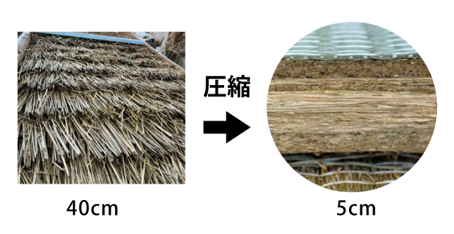40㎝の稲わらを5cmの厚さに圧縮
