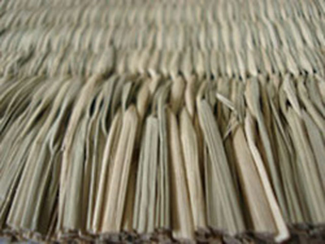 (Left picture) Ryuku-I (Shitto-i)